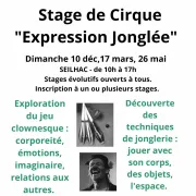 Stage de cirque \