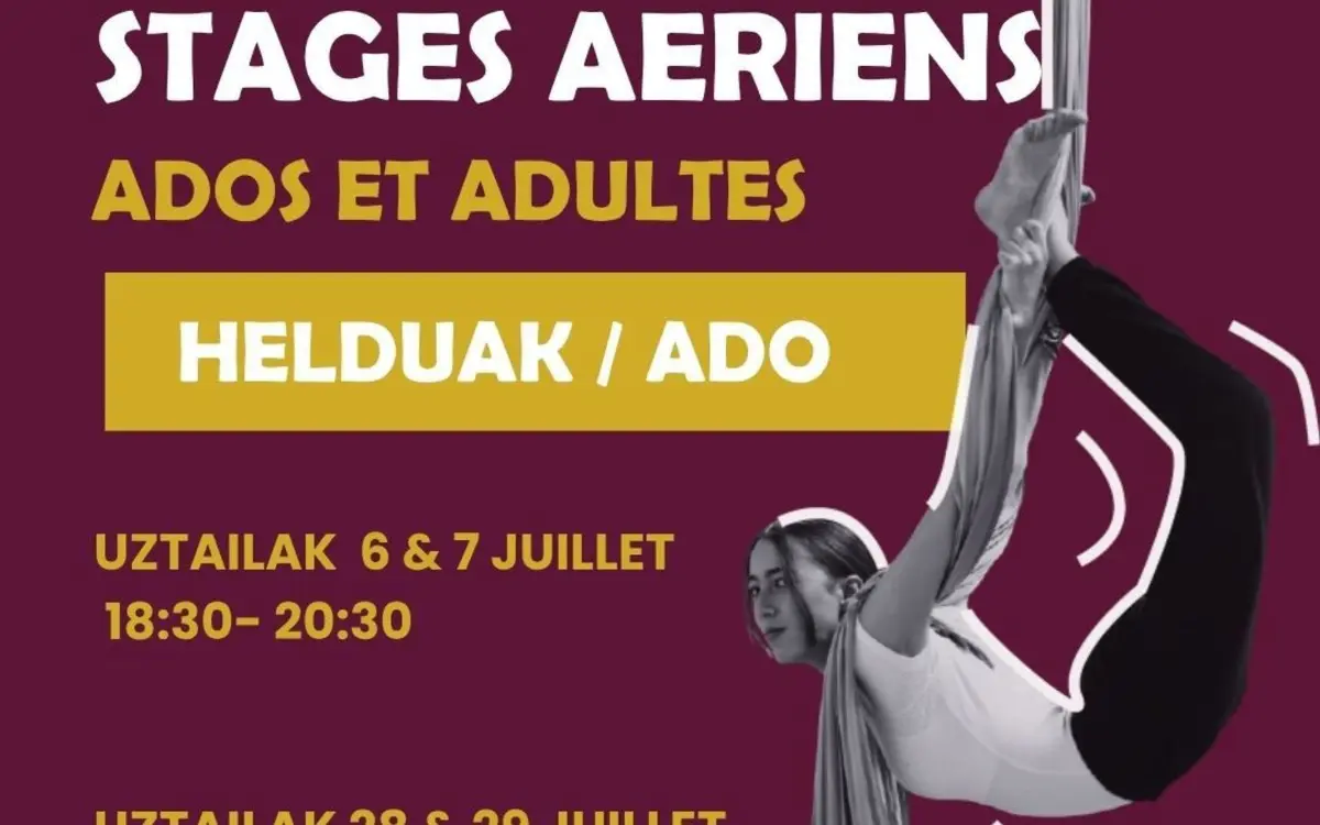 Stage de Cirque spécialité aériens
