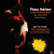 Stage de cirque vacances d'hiver : tissu aérien