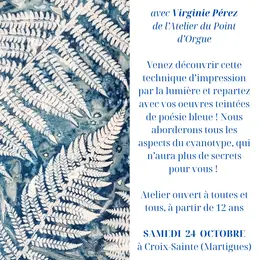 Stage de cyanotype