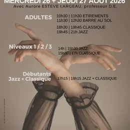 Stage de Danse