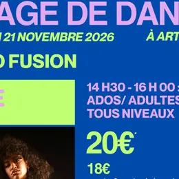 Stage de danse Afro Fusion