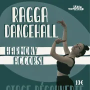 Stage de danse Ragga dancehall