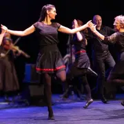 Stage de Danses Irlandaises