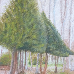 Stage de dessin