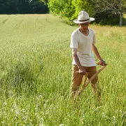 Stage de fauchage à la faux, martelage et affûtage