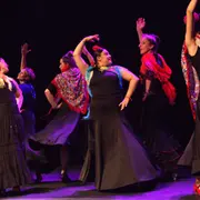 Stage de Flamenco