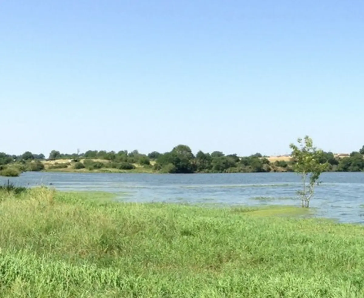 Stage de pêche des carnassiers aux leurres