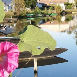 Stage de pêche des carnassiers aux leurres - à Coulon