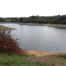 Stage de pêche des poissons blancs au feeder
