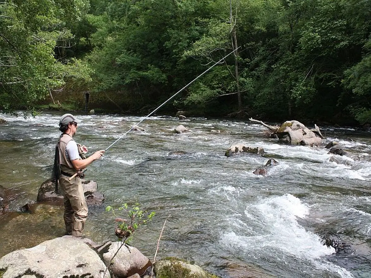 Stage de pêche : tout mode de pêche de la truite fario