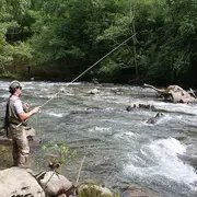 Stage de pêche : tout mode de pêche de la truite fario