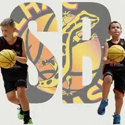 Stage de perfectionnement basket