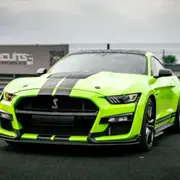 Stage de pilotage Ford Mustang Shelby GT500, Circuit Ladoux (63)