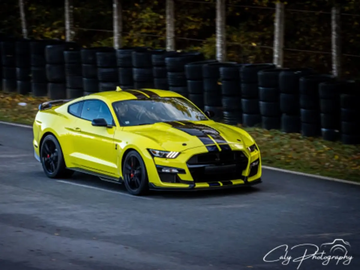 Stage de pilotage Ford Mustang Shelby GT500, Circuit de Nogaro