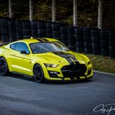 Stage de pilotage Ford Mustang Shelby GT500, Circuit de Nogaro
