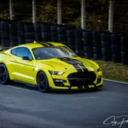 Stage de pilotage Ford Mustang Shelby GT500, Circuit de Nogaro