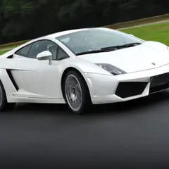 Stage de pilotage Lamborghini Gallardo LP560 à Alès (30)