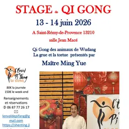 Stage de Qi gong avec un Maître chinois