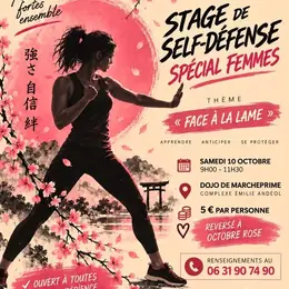 Stage de Self-Défense Spécial Femme dans le cadre d' Octobre Rose