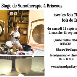 Stage de sonothérapie avec Bols Tibétain et Bols De Cristal