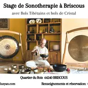Stage de sonothérapie avec Bols Tibétain et Bols De Cristal