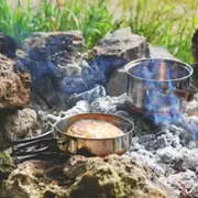 Stage de survie 2 jours Forêt à Saint-Brieuc (22)