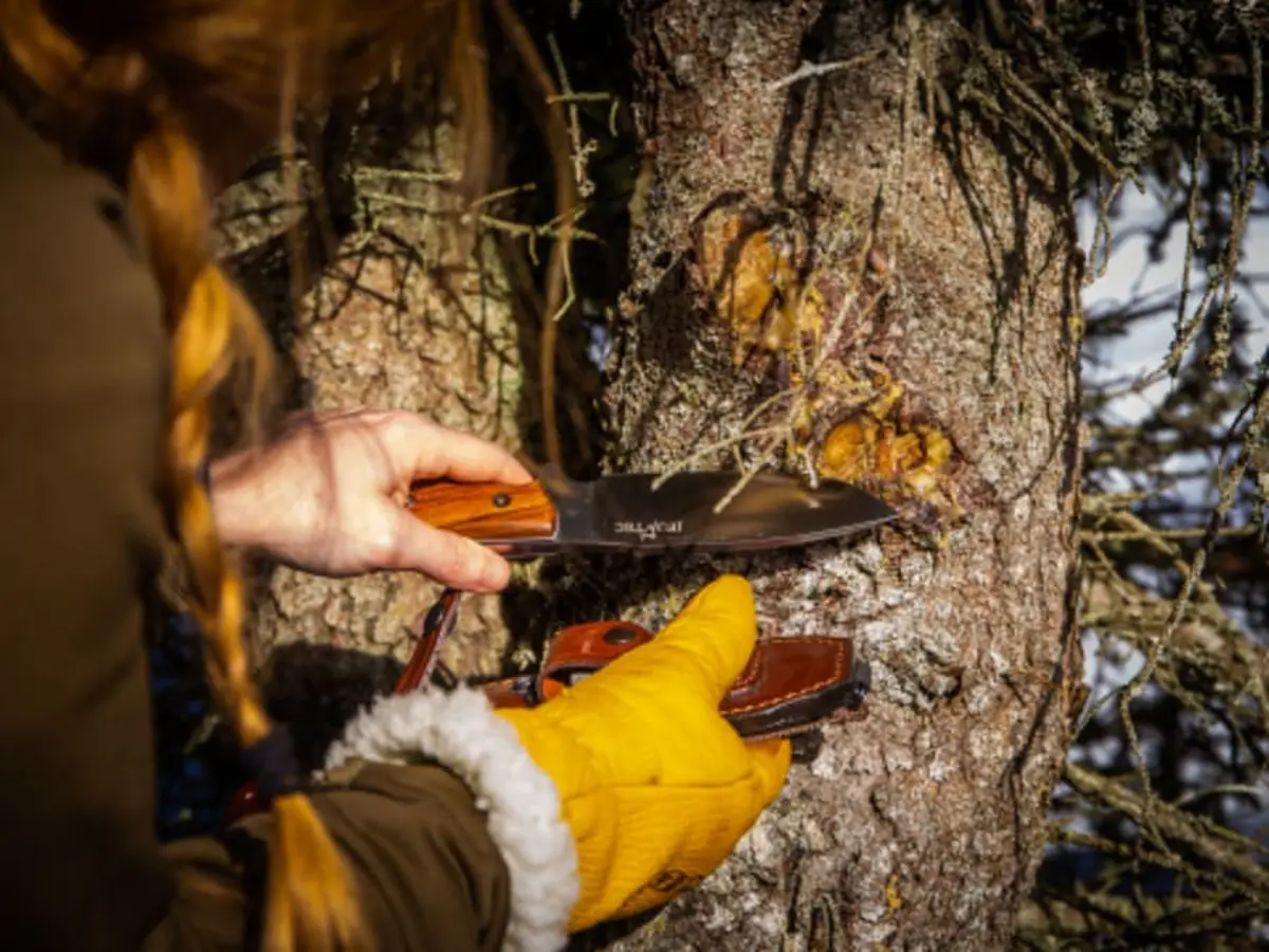 Stage de survie avancé 3 jours près de Fontainebleau (77)