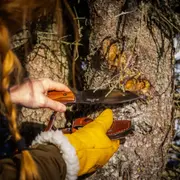Stage de survie avancé 3 jours près de Fontainebleau (77)