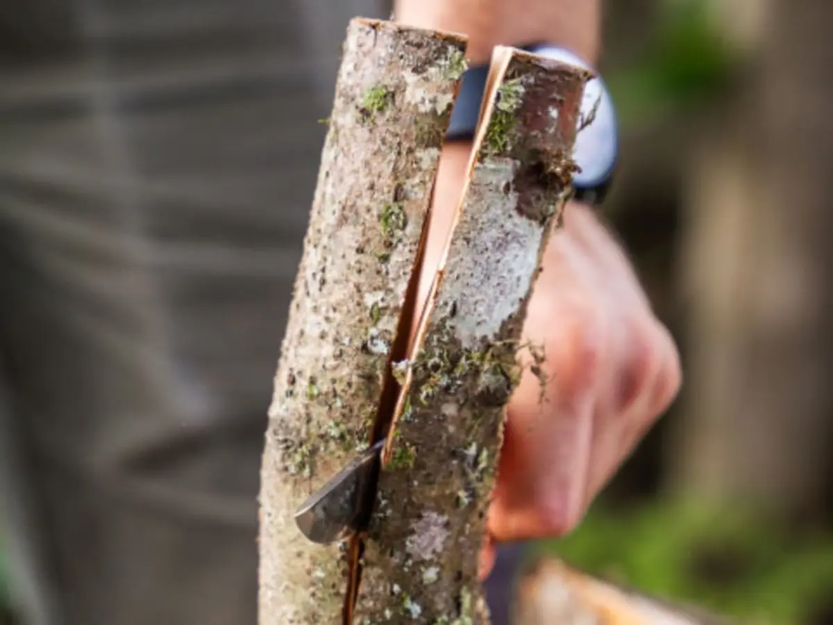 Stage de survie Avancé dans les Vosges (88)