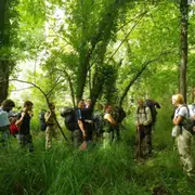 Stage de survie en milieu forestier en Dordogne (24)