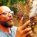 Stage de survie en milieu forestier pr&egrave;s de Poitiers