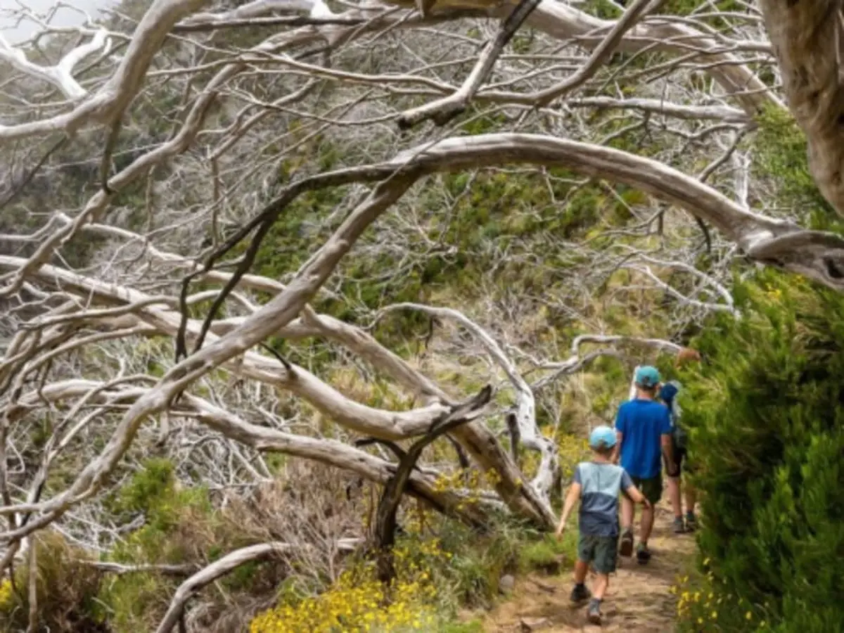 Stage de survie famille sur 2 jours pr&egrave;s de Saint-Brieuc (22)