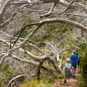 Stage de survie famille sur 2 jours près de Saint-Brieuc (22)