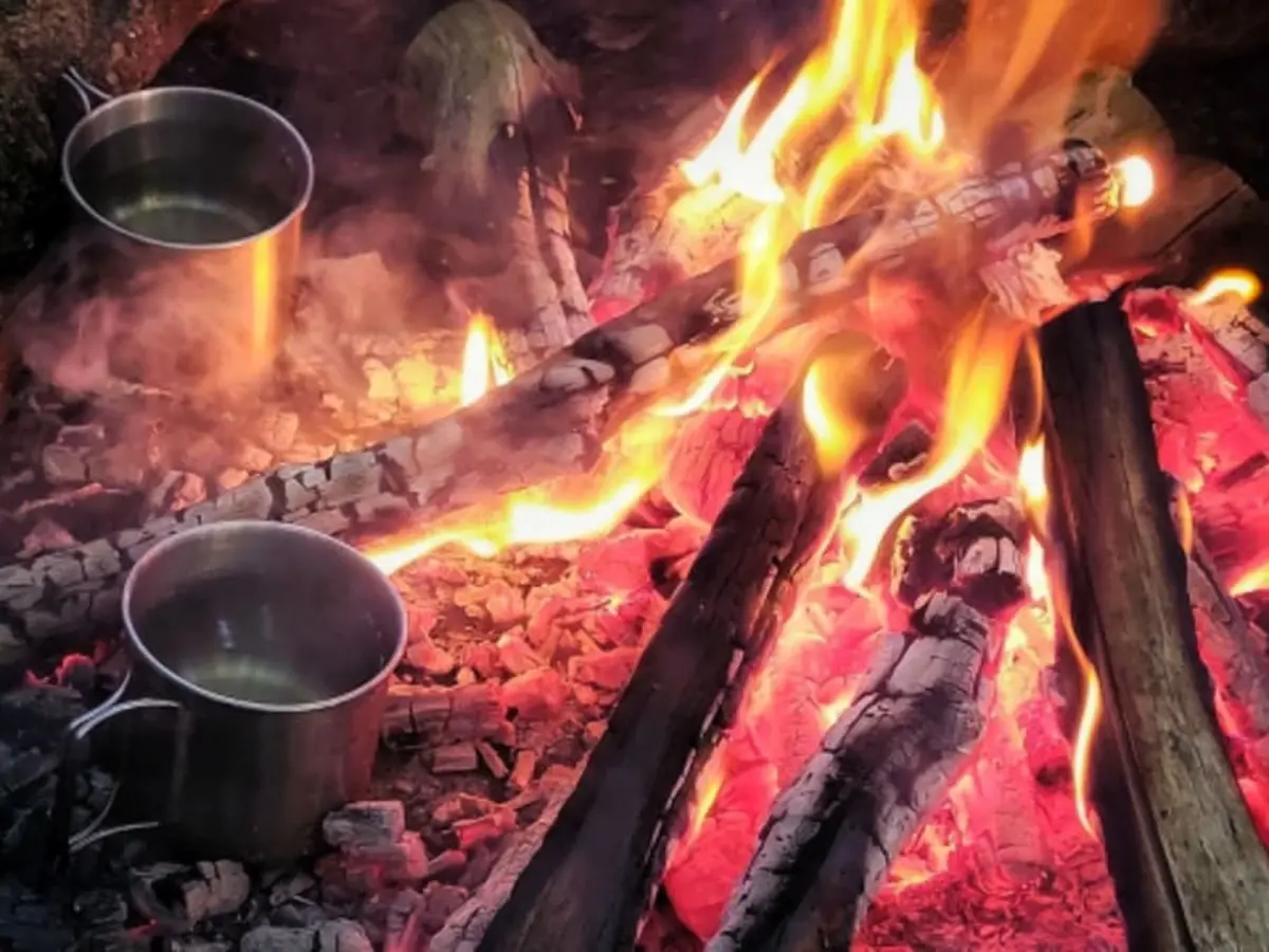 Stage de survie Itinérance dans les Vosges (88)