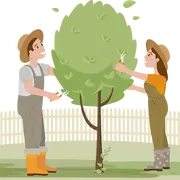 Stage de taille fruitière douce à Saint-Michel-Léparon