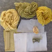 Stage de teintures végétales solaires