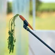 Stage de théâtre | Découverte du Kamishibai - Histoire d'enfances