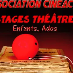 Stage de théâtre par Cinéacte