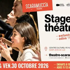 Stage de théâtre pour enfants (11/13 ans)