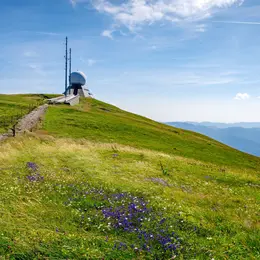 Stage de trail dans le massif des Vosges au Grand-Ballon et au Markstein