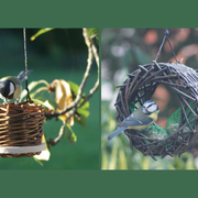 Stage de vannerie adulte | Créez deux mangeoires à oiseaux en osier