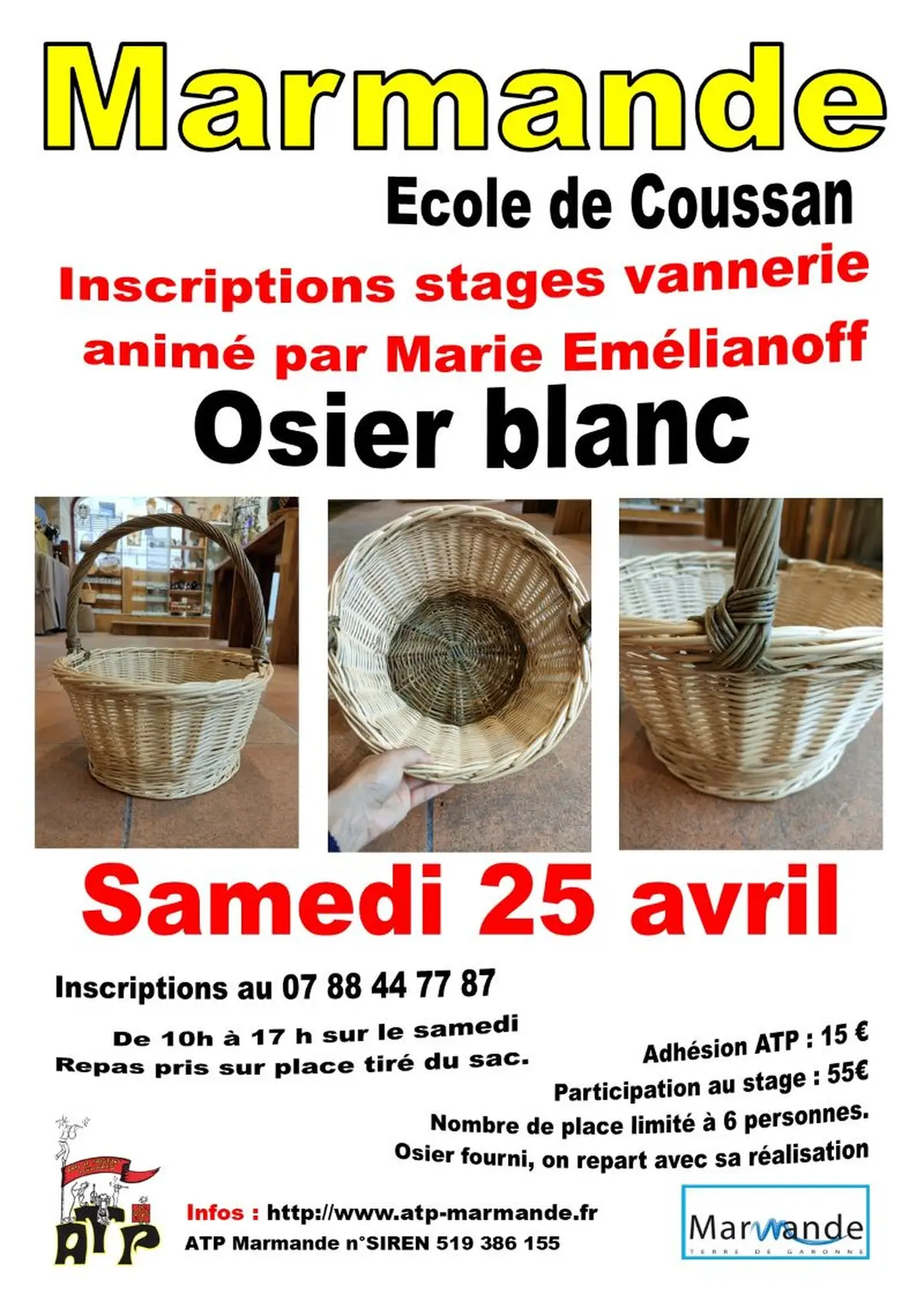 Stage de vannerie Osier blanc