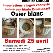 Stage de vannerie Osier blanc
