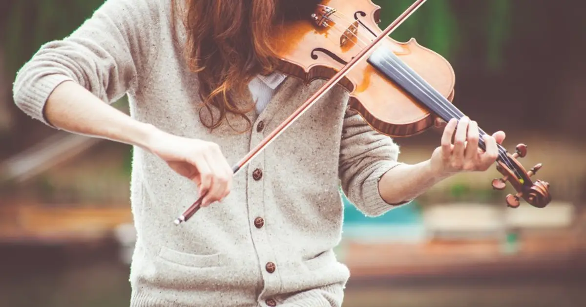 Stage de violon/flûte, d'accordéon et musique d'ensemble