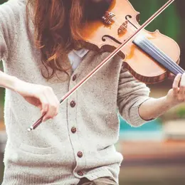 Stage de violon/flûte, d'accordéon et musique d'ensemble