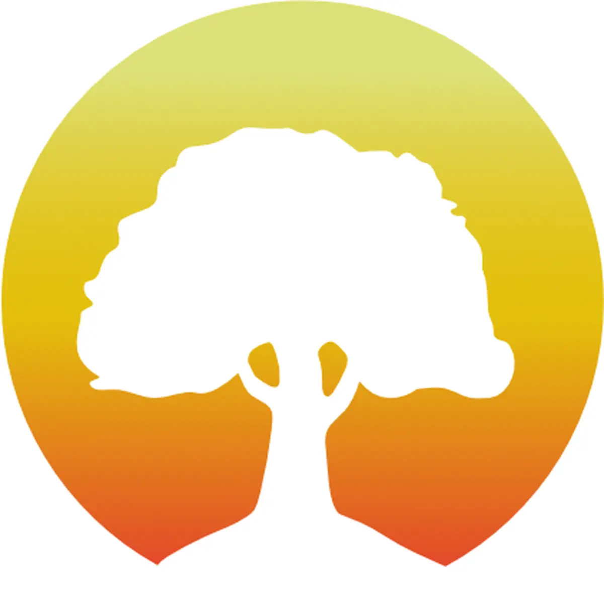 Stage de yoga Iyengar et Yoga aérien