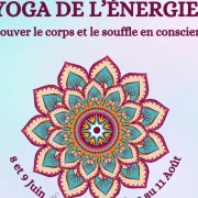 Stage de yoga : yoga de l\'énergie