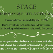Stage dessin botanique et plantes sauvages