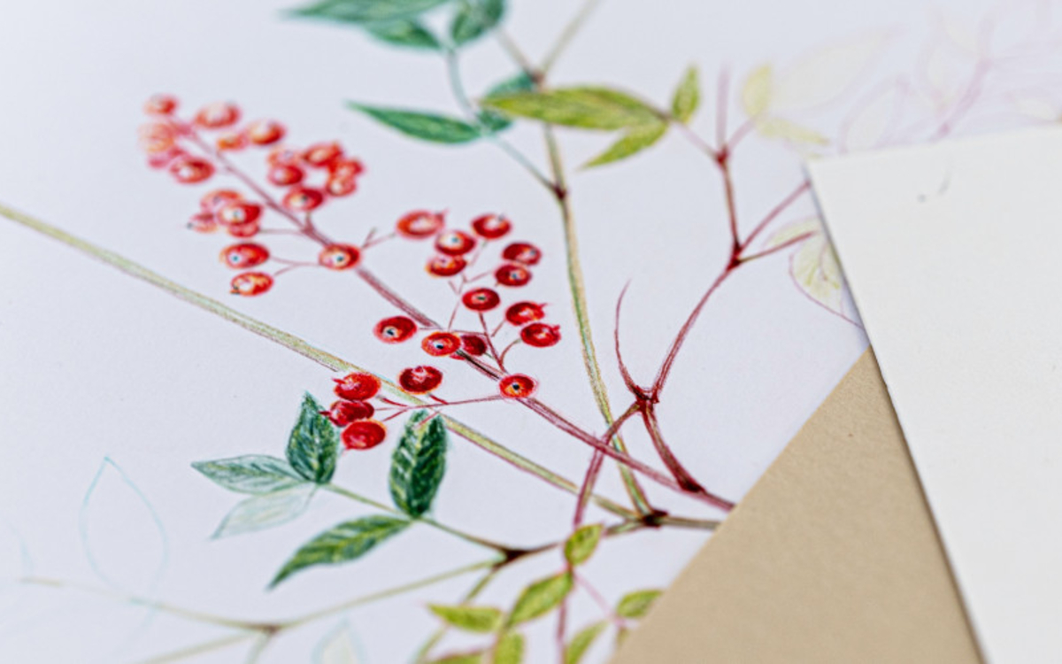 STAGE DESSIN - Crayons de couleurs